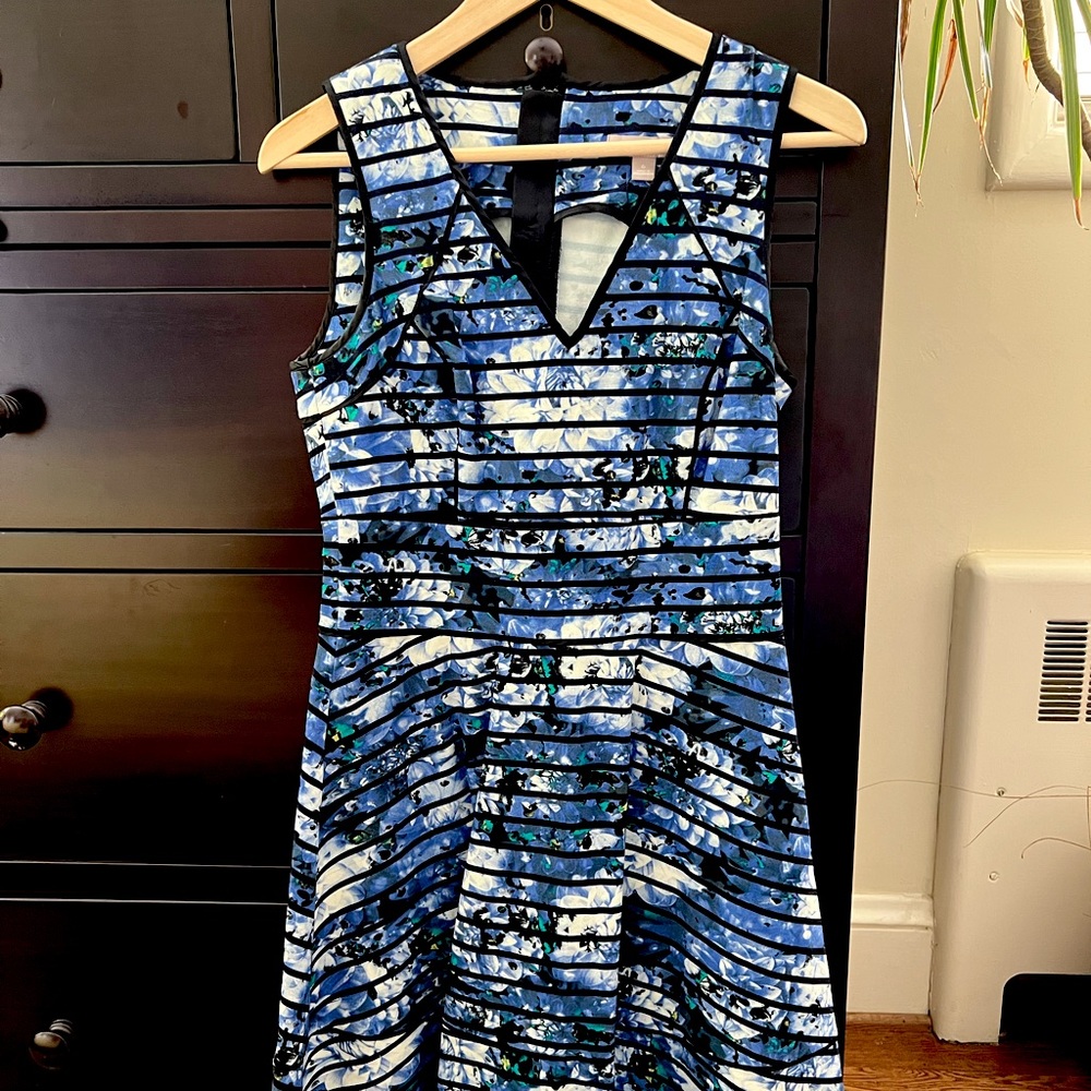 Banana Republic Floral Fit and Flare Dress, Size 6
